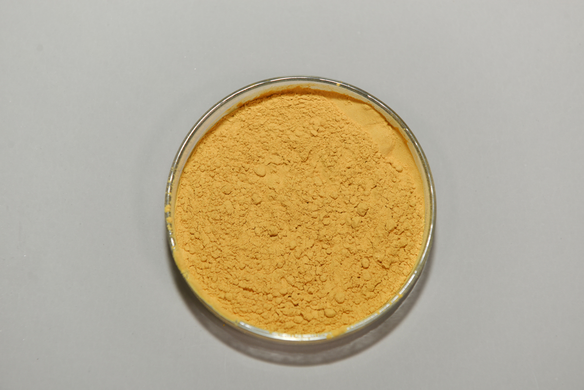 100比1庫拉索蘆薈全葉凍干粉