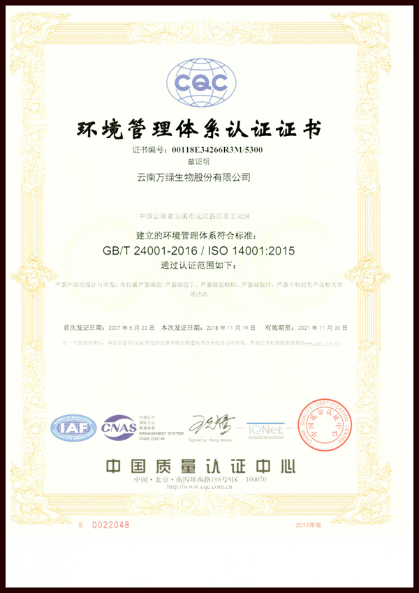 環(huán)境管理體系認證證書